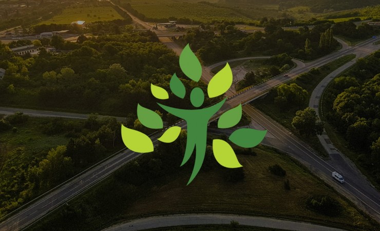 Hapia s’engage auprès de Reforest'action pour réduire son empreinte carbone