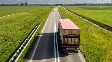Transport routier : les différents modes d’expédition